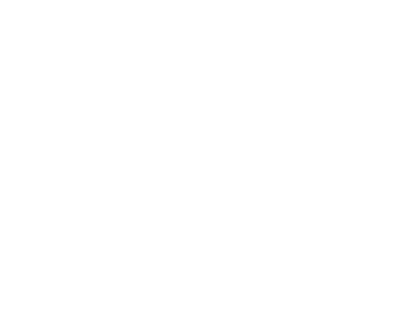 Logo Victoria 400